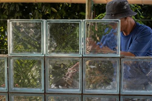 şüşə blok arakəsmə